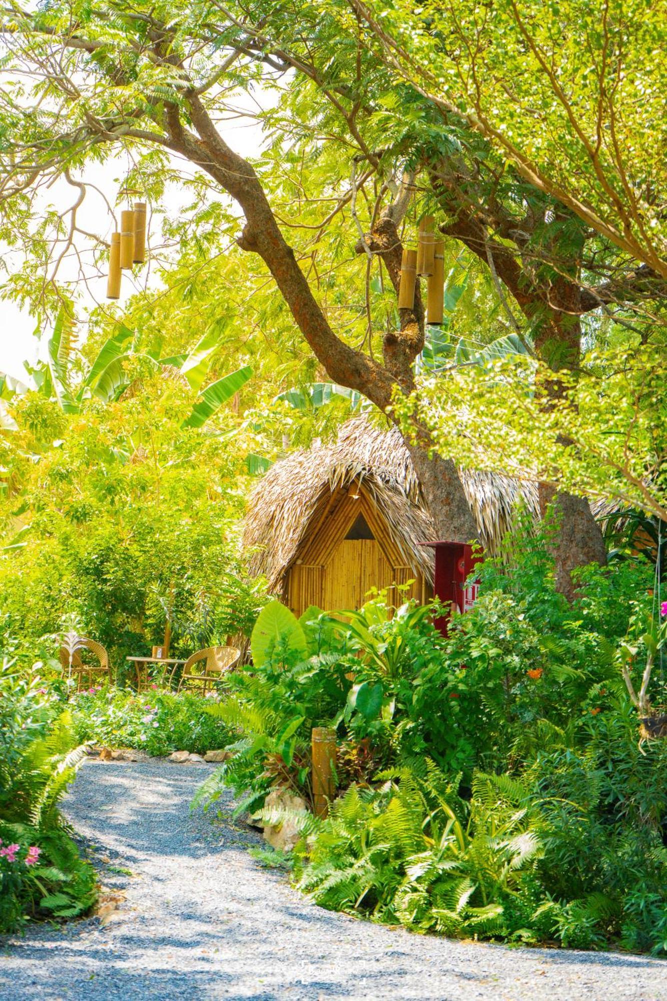 Samui Circus & - Dome 2